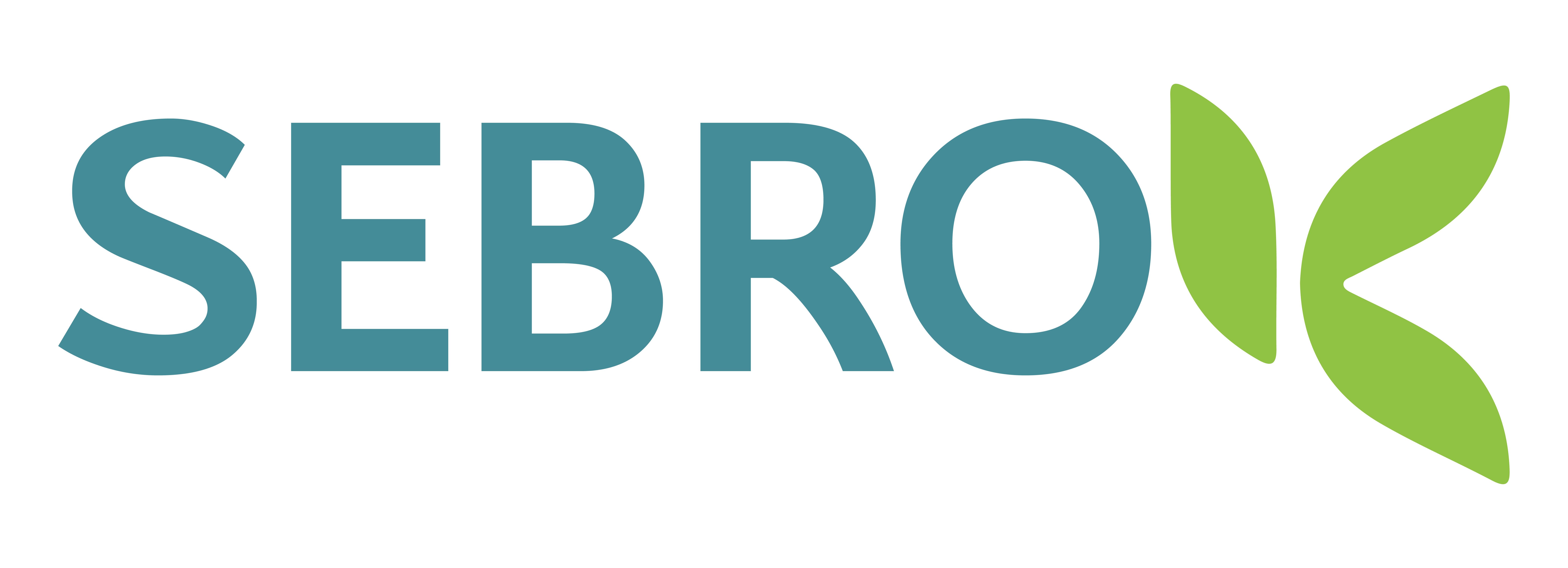 Sebrok.  Soluciones IT para tu empresa y el teletrabajo